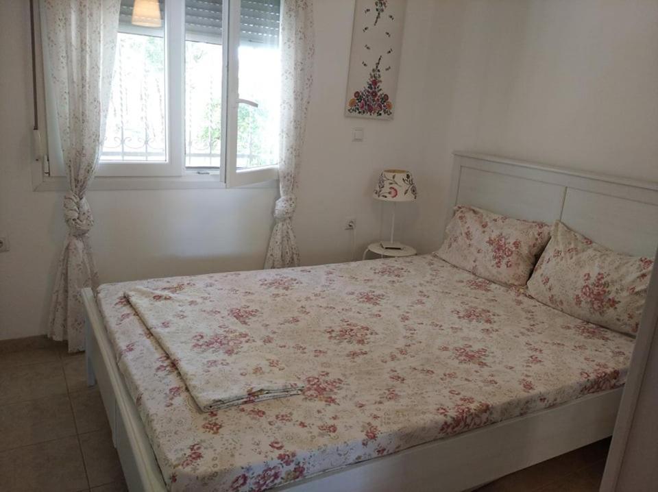 Δεσποινα Apartment Nea Peramos  Ngoại thất bức ảnh